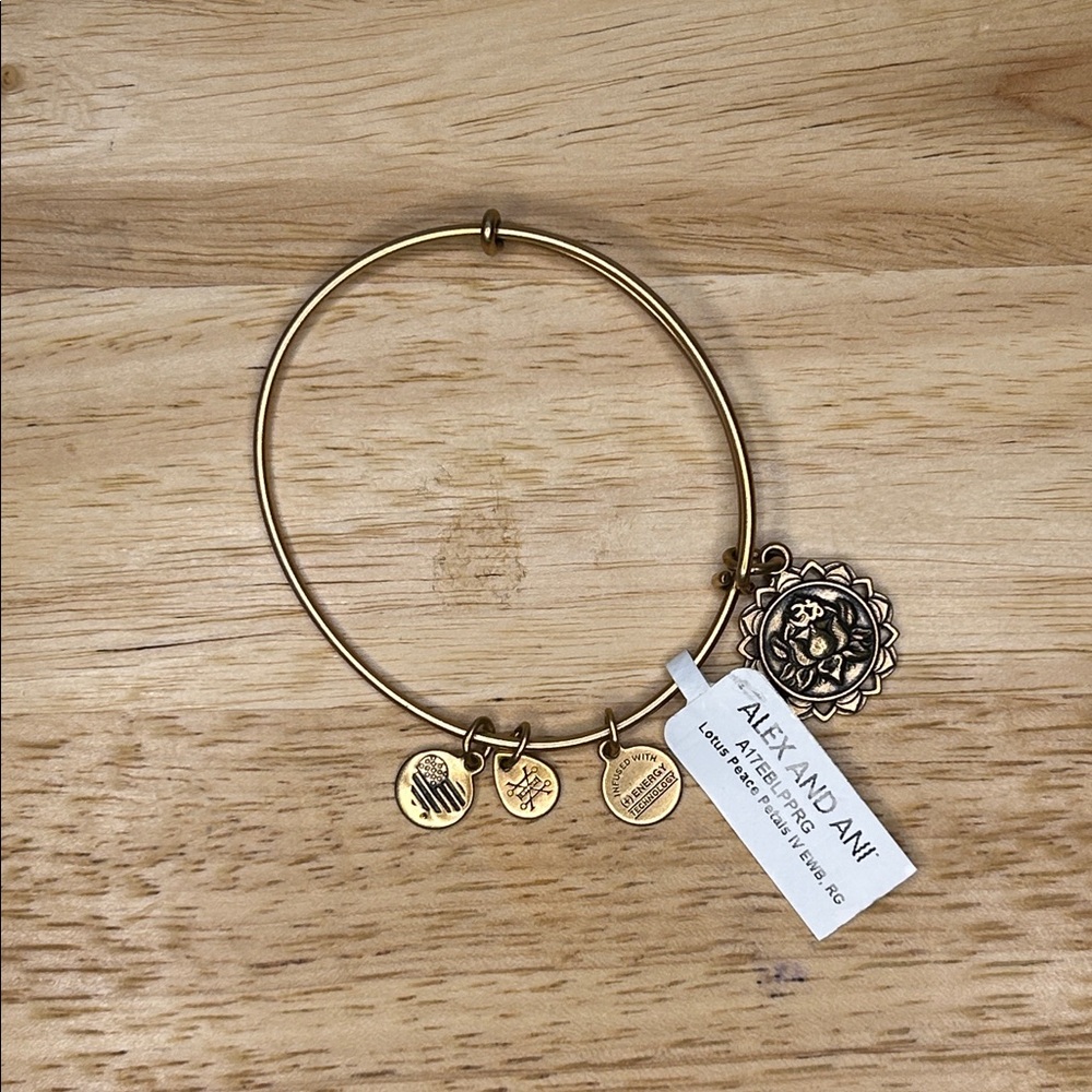 Alex and Ani Gold Charm Bracelet